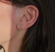 Load image into Gallery viewer, A pair of 14K solid gold earrings featuring lustrous AAA-grade button freshwater pearls, known for their exceptional quality and shine.