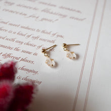 Load image into Gallery viewer, 18K gold plated or surgical steel earrings with 8mm gold foil matte star colored glaze lampwork beads, perfect for adding a touch of elegance and whimsy to any outfit.