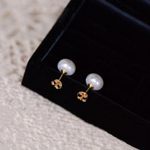 Load image into Gallery viewer, 14K Gold 8mm AAA Button Freshwater Pearls Earrings
