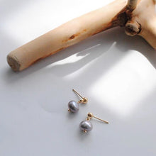 将图片加载到图库查看器，Gold Natural Freshwater 4-6mm Small Button Grey Pearls Earrings
