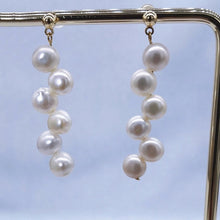 将图片加载到图库查看器，Korean Gold/Silver stud coin pearls flat side 6mm earrings
