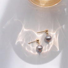 将图片加载到图库查看器，Gold Natural Freshwater 4-6mm Small Button Grey Pearls Earrings
