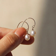 Load image into Gallery viewer, Minimalist AAA 4mm Oval Pearls Silver/18k Gold Plated Stainless Steel Small Dangle Earrings
