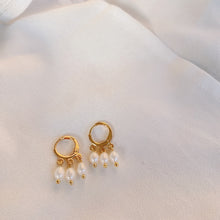 Load image into Gallery viewer, Earrings plated with 18K gold, featuring 5mm AAA oval natural freshwater pearls.
