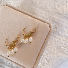 Load image into Gallery viewer, Earrings plated with 18K gold, featuring 5mm AAA oval natural freshwater pearls.
