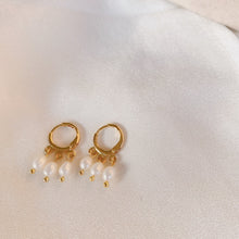 Load image into Gallery viewer, Earrings plated with 18K gold, featuring 5mm AAA oval natural freshwater pearls.
